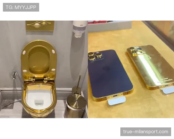 范迪克家里马桶镶金边? 范迪克家里马桶镶金边?